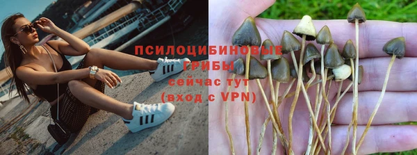 мдпв Бугульма